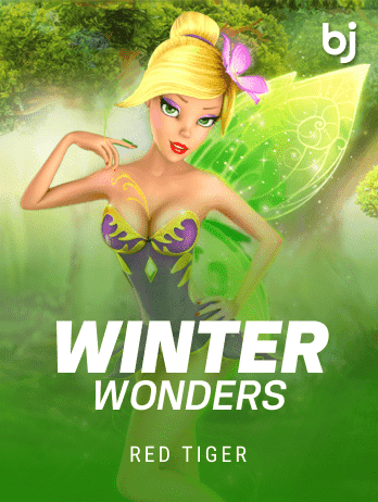 Winter Wonders